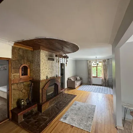 Bizim Villa Sapanca