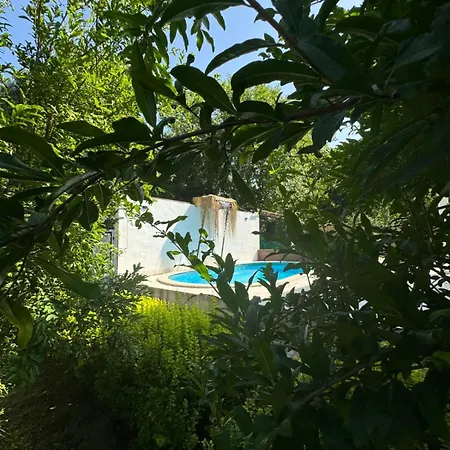 Villa Bizim Sapanca