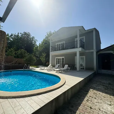 Bizim